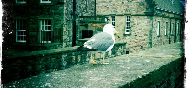Due giorni a Edimburgo tra lana e castelli